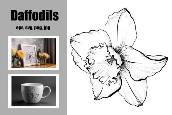 Download Daffodils Freehand Drawing - Freehand Collection