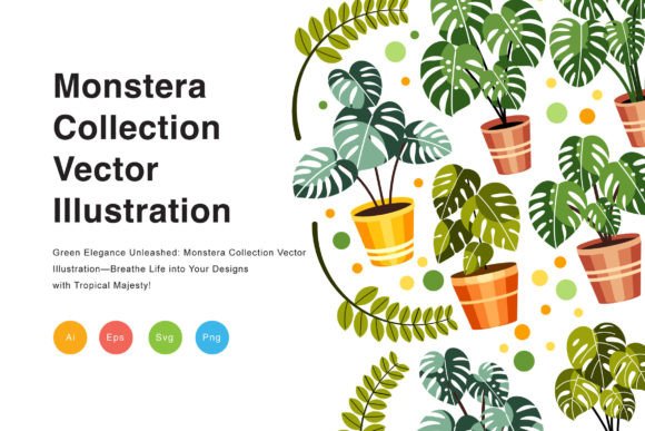 Download Monstera Collection Vector Illustration - Collection Collection